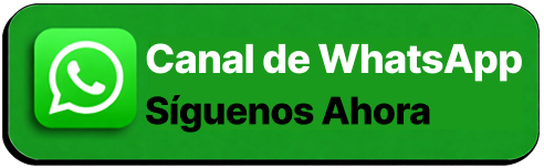 Categoría WS en FJFJ